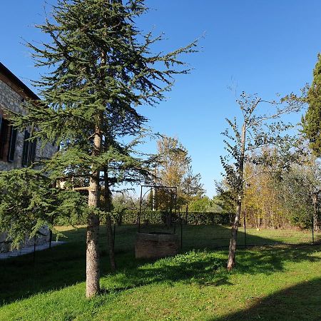Podere Il Poggio Ашяно Екстер'єр фото