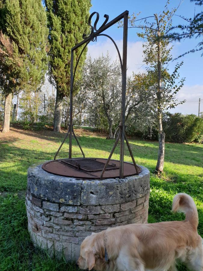 Podere Il Poggio Ашяно Екстер'єр фото