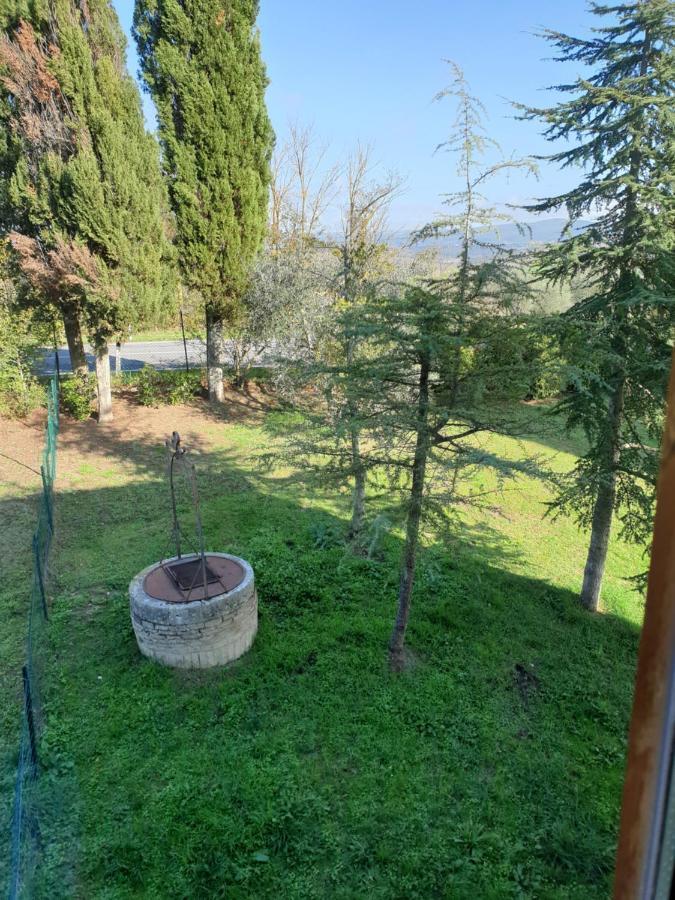 Podere Il Poggio Ашяно Екстер'єр фото